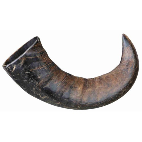 Trixie (Трикси) Buffalo Chewing Horn L - Лакомство для собак рог буйвола 180 г