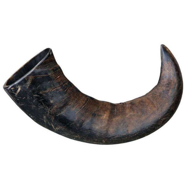 Trixie (Трикси) Buffalo Chewing Horn M - Лакомство для собак рог буйвола 100 г