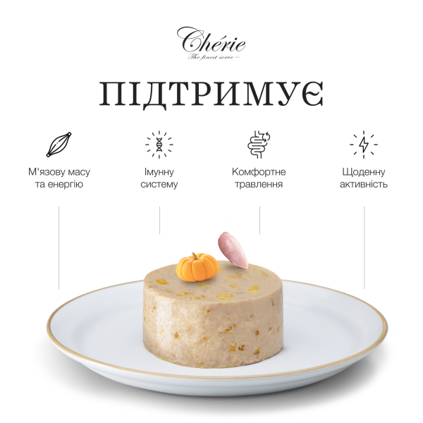 Cherie (Чери) Dog Grain Free Chicken & Pumpkin Mousse Adult All Breeds - Влажный беззерновой корм для взрослых собак всех пород мусс с мясом курицы и тыквой 90 г Cherie (Чери) Dog Grain Free Chicken & Pumpkin Mousse Adult All Breeds - Влажный беззерновой корм для взрослых собак всех пород мусс с мясом курицы и тыквой 90 г