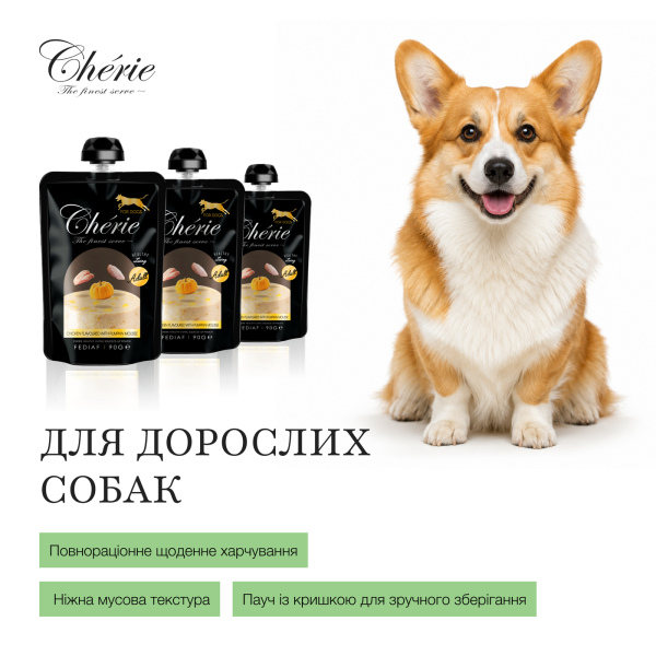 Cherie (Чери) Dog Grain Free Chicken & Pumpkin Mousse Adult All Breeds - Влажный беззерновой корм для взрослых собак всех пород мусс с мясом курицы и тыквой 90 г Cherie (Чери) Dog Grain Free Chicken & Pumpkin Mousse Adult All Breeds - Влажный беззерновой корм для взрослых собак всех пород мусс с мясом курицы и тыквой 90 г