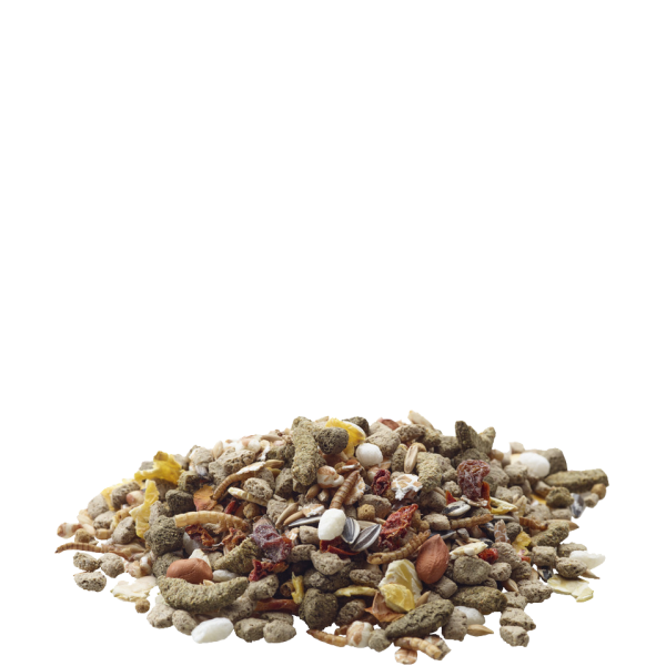 Versele-Laga (Версель Лага) Nature Rat - Суперпреміум корм для щурів 700 г