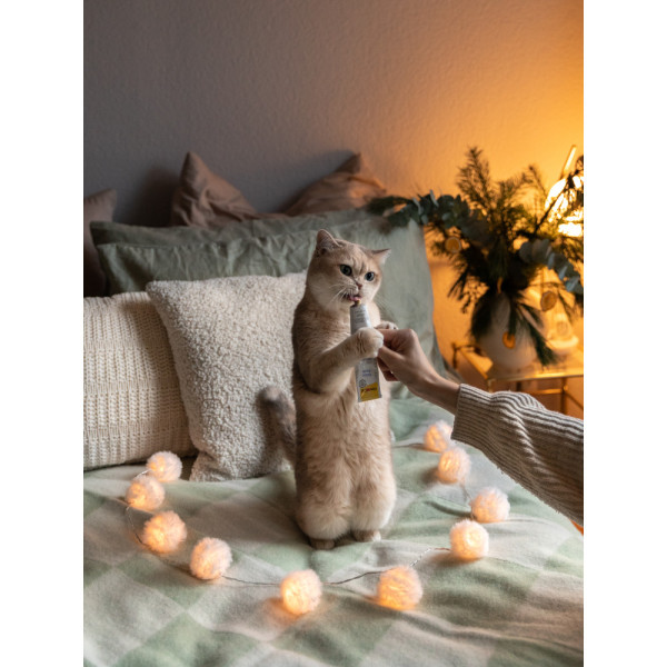 GimCat (ДжимКет) Expert Line Relax - Витаминная паста для кошек 50 г