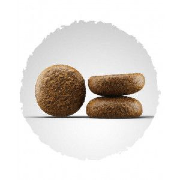 Josera (Йозера) Active Nature - Сухий корм для активних собак з птицею та ягням 0.9 кг