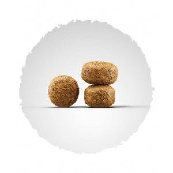 Josera (Йозера) Balance - Сухий корм для літніх та малоактивних собак з птицею 0.9 кг