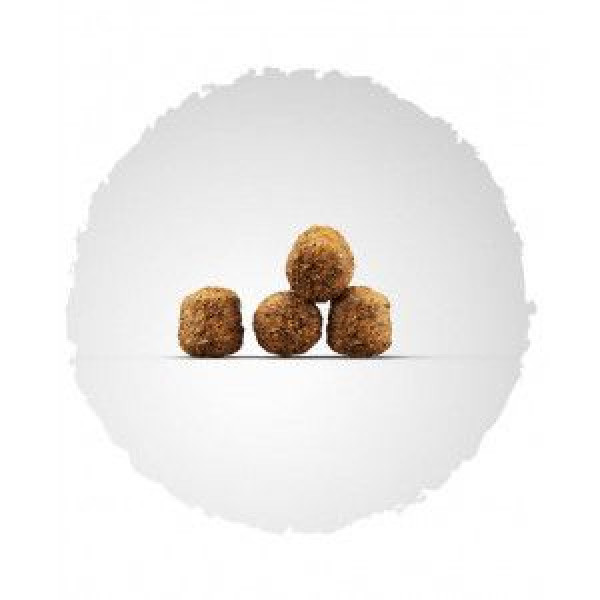 Josera (Йозера) Family Plus - Сухой корм для беременных, кормящих и щенков всех пород с  птицой и лососем 12.5 кг