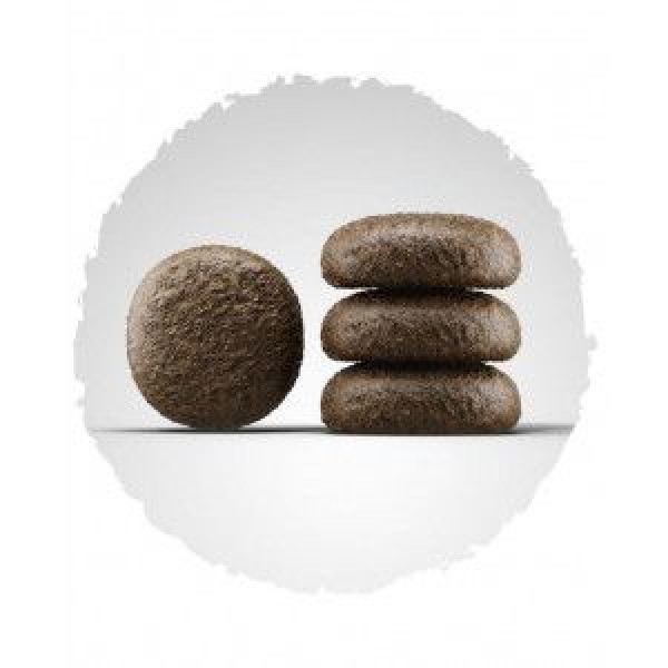 Josera (Йозера) Festival - Сухий корм для вибагливих собак з птахом та лососем 0.9 кг