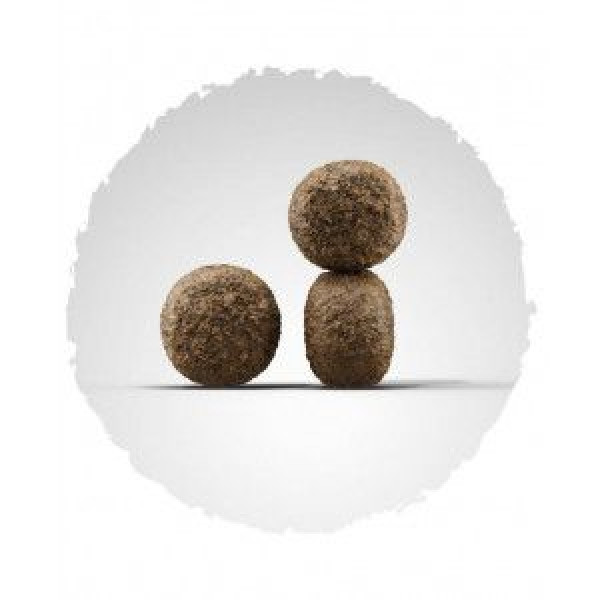 Josera (Йозера) High Energy - Сухий корм для спортивних і племінних собак всіх порід з птахом та лососем 12.5 кг