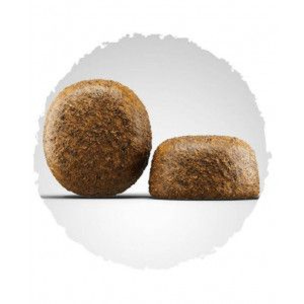 Josera (Йозера) Large Breed - Сухий корм для собак великих та гігантських порід з птицею та лососем 12.5 кг