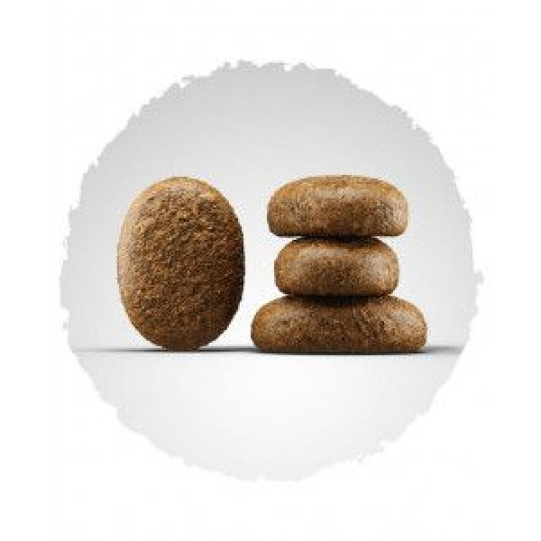 Josera (Йозера) Optiness - Сухий корм для собак середніх та великих порід з птахою та ягням 12.5 кг