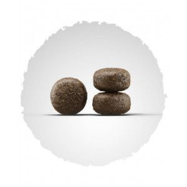 Josera (Йозера) Sensi Junior - Сухий гіпоалергенний корм для цуценят та юніорів середніх та великих порід з птицею, качкою та лососем 12.5 кг