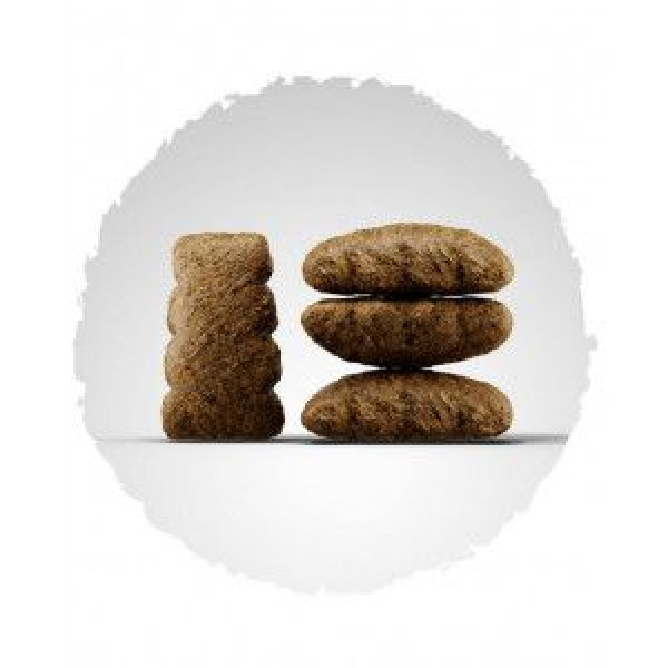 Josera (Йозера) SensiPlus - Сухой корм для собак с чувствительным пищеварением с птицей и уткой 12.5 кг