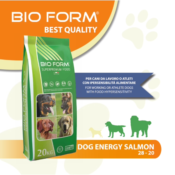 Bio Form (Био Форм) Super Premium Food Dog Energy Salmon & Rice – Сухой корм для активных собак с лососем и рисом 20 кг