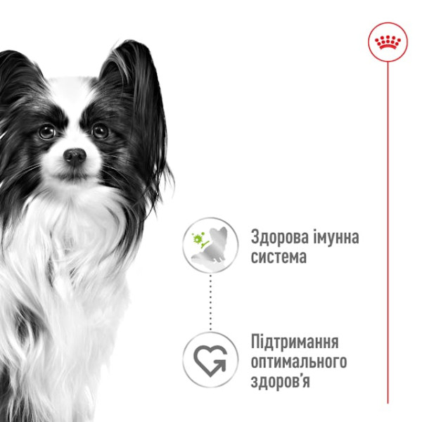 Royal Canin (Роял Канин) Dog X-Small Pouches Adult Poultry - Влажный корм для взрослых собак с мясом птицы 85 г