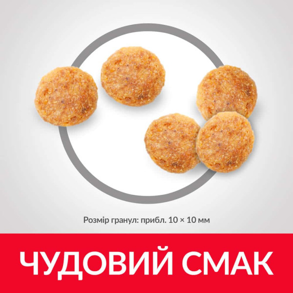 Hill`s SP Feline Adult Chicken – Сухий корм для дорослих кішок з куркою 10 кг