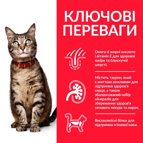 Hill’s SP Feline Adult Lamb – Сухий корм для дорослих кішок з ягнятком 0.3 кг