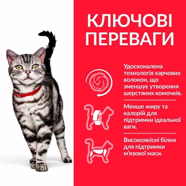 Hill`s SP Feline Hairball & Indoor Cat Chicken – Сухий корм для дорослих домашніх кішок з куркою 0.3 кг