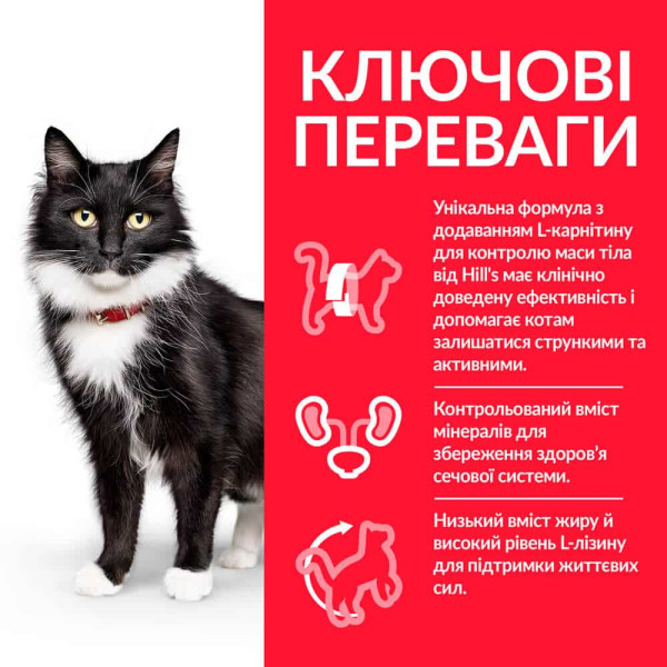 Hill`s (Хилс) Science Plan Cat Chicken Sterilised Adult - Сухой корм для пожилых стерилизованых котов с мясом курицы 300 г Hill`s (Хилс) Science Plan Cat Chicken Sterilised Adult - Сухой корм для пожилых стерилизованых котов с мясом курицы 300 г