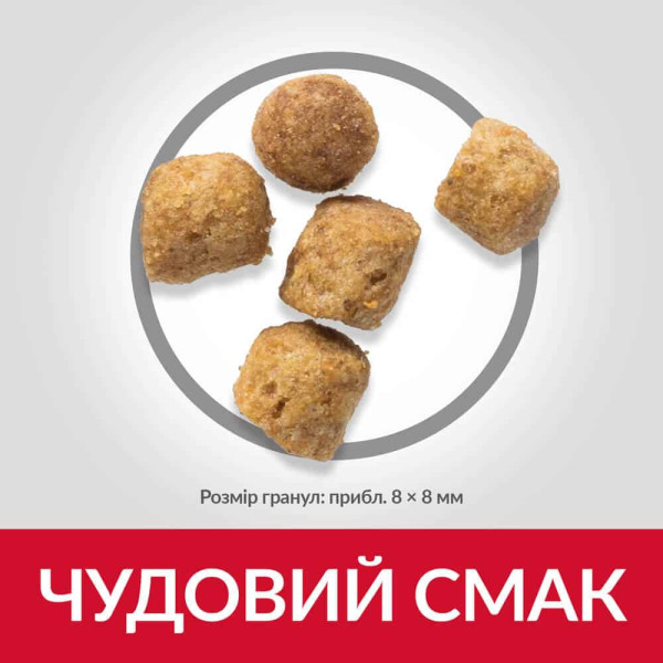 Hill`s (Хилс) Science Plan Cat Chicken Sterilised Adult - Сухой корм для пожилых стерилизованых котов с мясом курицы 300 г Hill`s (Хилс) Science Plan Cat Chicken Sterilised Adult - Сухой корм для пожилых стерилизованых котов с мясом курицы 300 г
