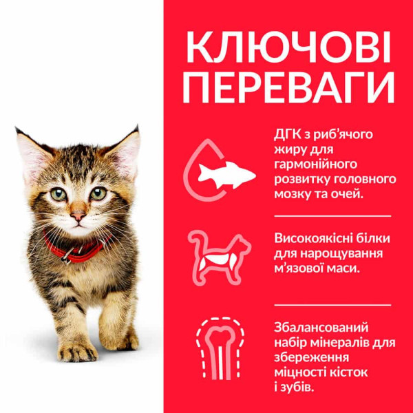 Hill’s SP Kitten Tuna – Сухий корм для кошенят, вагітних та годуючих кішок з тунцем 0.3 кг
