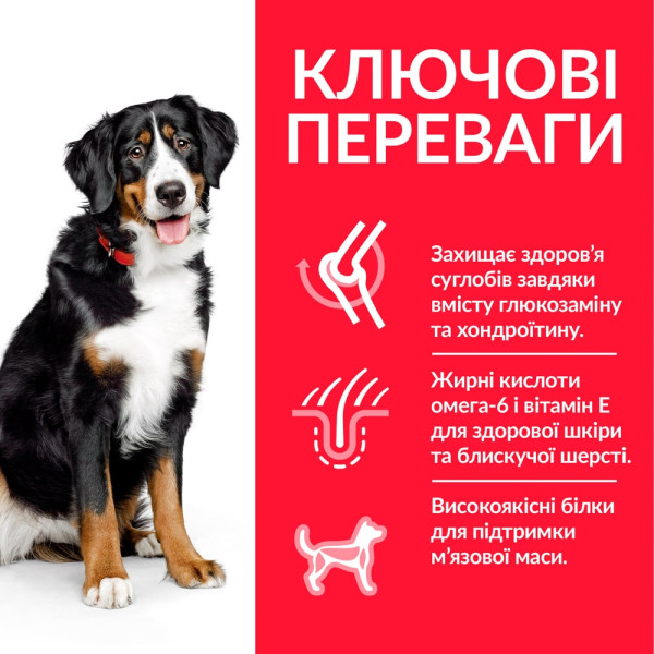 Hill's (Хилс) Science Plan Dog Chicken Adult Maxi - Сухой корм для взрослых собак больших пород с мясом курицы 14 кг Hill's (Хилс) Science Plan Dog Chicken Adult Maxi - Сухой корм для взрослых собак больших пород с мясом курицы 14 кг