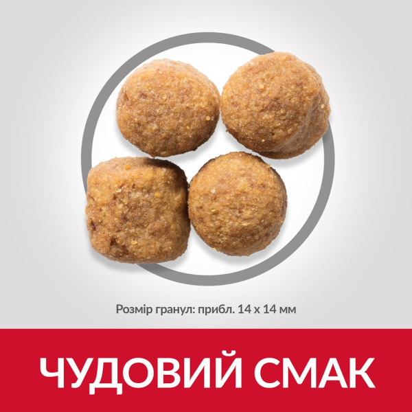 Hill's (Хилс) Science Plan Dog Chicken Adult Maxi - Сухой корм для взрослых собак больших пород с мясом курицы 14 кг Hill's (Хилс) Science Plan Dog Chicken Adult Maxi - Сухой корм для взрослых собак больших пород с мясом курицы 14 кг