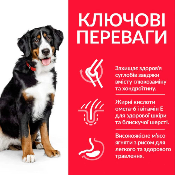 Hill's (Хилс) Science Plan Dog Chicken Adult Maxi - Сухой корм для взрослых собак больших пород с мясом ягнёнка и рисом 14 кг