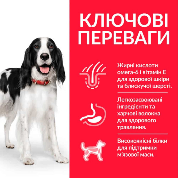 Hill's (Хилс) Science Plan Dog Chicken Adult Medium - Сухой корм для взрослых собак средних пород с мясом курицы 2.5 кг Hill's (Хилс) Science Plan Dog Chicken Adult Medium - Сухой корм для взрослых собак средних пород с мясом курицы 2.5 кг