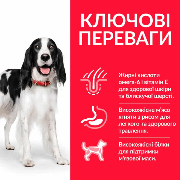 Hill's (Хилс) Science Plan Dog Chicken Adult Medium - Сухой корм для взрослых собак средних пород с мясом ягнёнка и рисом 2.5 кг Hill's (Хилс) Science Plan Dog Chicken Adult Medium - Сухой корм для взрослых собак средних пород с мясом ягнёнка и рисом 2.5 кг