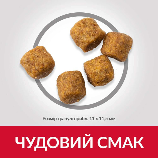 Hill's (Хилс) Science Plan Dog Chicken Adult Medium - Сухой корм для взрослых собак средних пород с мясом ягнёнка и рисом 2.5 кг Hill's (Хилс) Science Plan Dog Chicken Adult Medium - Сухой корм для взрослых собак средних пород с мясом ягнёнка и рисом 2.5 кг