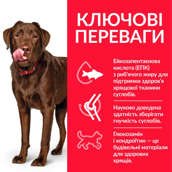 Hill`s (Хилс) Science Plan Dog Chicken Healthy Mobility Maxi Adult сухой корм для взрослых собак больших пород для здоровья суставов с мясом курицы 14 кг