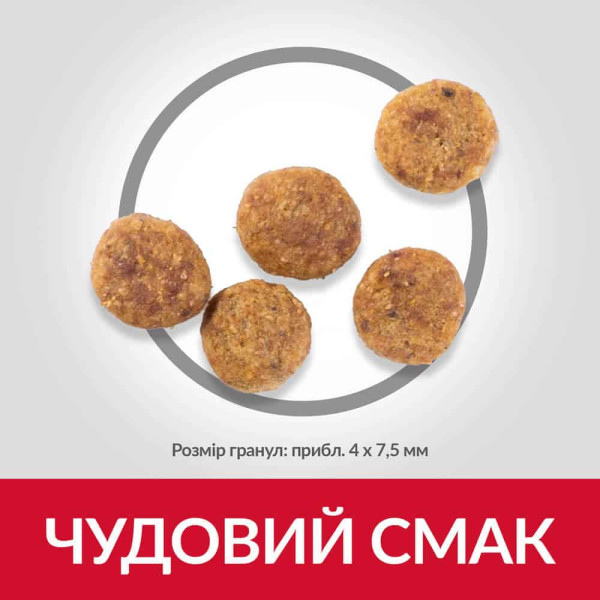 Hill's (Хилс) Science Plan Dog Chicken Perfect Weight Adult Small & Mini - Сухой корм для взрослых собак мелких и миниатюрных пород для поддержки веса с мясом курицы 1.5 кг Hill's (Хилс) Science Plan Dog Chicken Perfect Weight Adult Small & Mini - Сухой корм для взрослых собак мелких и миниатюрных пород для поддержки веса с мясом курицы 1.5 кг