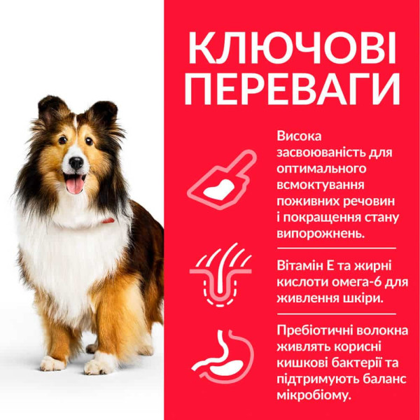 Сухой корм Hill`s (Хилс) Science Plan Dog Chicken Sensitive Stomach & Skin Adult Medium для взрослых собак средних пород с чувствительным пищеварением и кожей c мясом курицы 14 кг Сухой корм Hill`s (Хилс) Science Plan Dog Chicken Sensitive Stomach & Skin Adult Medium для взрослых собак средних пород с чувствительным пищеварением и кожей c мясом курицы 14 кг