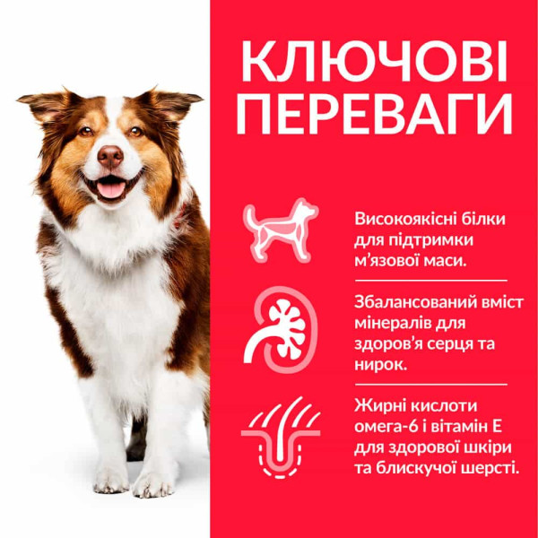 Hill's (Хилс) Science Plan Dog Chicken Mature Adult 7+ Medium - Сухой корм для пожилых собак средних пород с мясом курицы 14 кг Hill's (Хилс) Science Plan Dog Chicken Mature Adult 7+ Medium - Сухой корм для пожилых собак средних пород с мясом курицы 14 кг