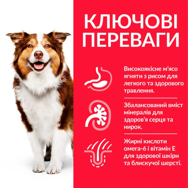 Hill's (Хилс) Science Plan Dog Lamb & Rice Mature Adult 7+ Medium - Сухой корм для пожилых собак средних пород с мясом ягнёнка и рисом 14 кг Hill's (Хилс) Science Plan Dog Lamb & Rice Mature Adult 7+ Medium - Сухой корм для пожилых собак средних пород с мясом ягнёнка и рисом 14 кг
