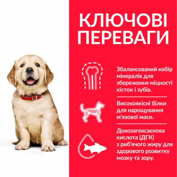 HILL`S (Хілс) Healthy Development Puppy Large Breed - Сухий корм для цуценят великих порід з куркою 14.5 кг