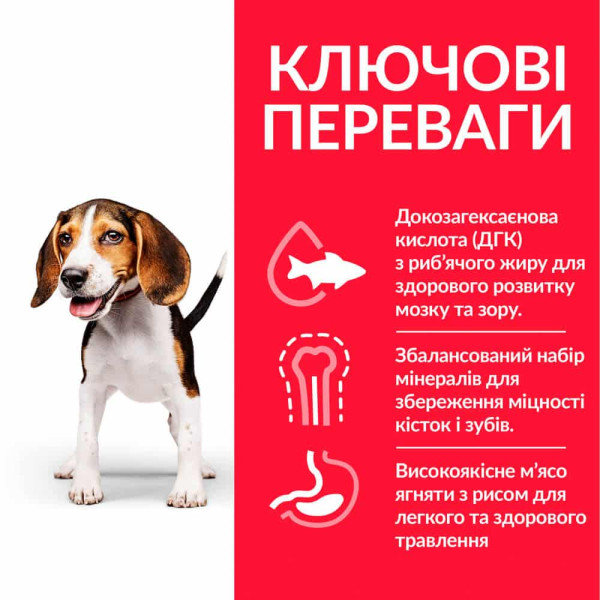 Hill's (Хилс) Science Plan Dog Lamb & Rice Puppy Medium - Сухой корм для щенков средних пород с мясом ягнёнка и рисом 2.5 кг Hill's (Хилс) Science Plan Dog Lamb & Rice Puppy Medium - Сухой корм для щенков средних пород с мясом ягнёнка и рисом 2.5 кг