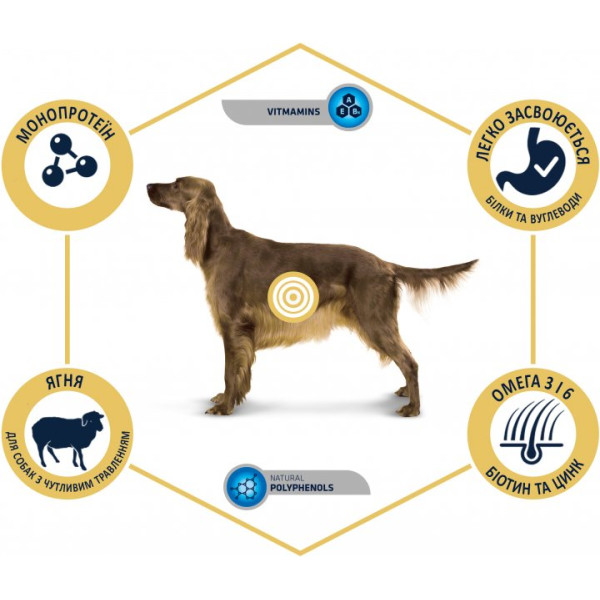 Advance Dog Adult Medium & Maxi Sensitive Lamb & Rice - Сухий корм для дорослих собак середніх і великих порід з чутливим травленням з ягням і рисом 12 кг