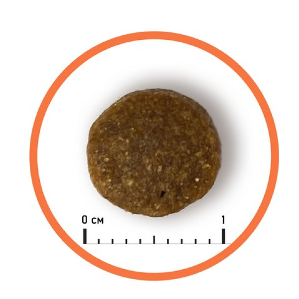 Almo Nature (Алмо Натюр) Holistic Fresh Meat Cat Sterilised With Beef - Сухой корм для стерилизованных кошек со свежей говядиной 2 кг Almo Nature (Алмо Натюр) Holistic Fresh Meat Cat Sterilised With Beef - Сухой корм для стерилизованных кошек со свежей говядиной 2 кг
