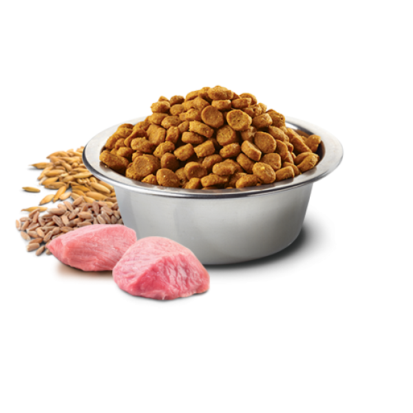 Farmina (Фарміна) Cat Low Grain N&D Ancestral Grain Chicken & Pomegranate Adult - Сухий корм для дорослих котів з куркою та гранатом 1.5 кг