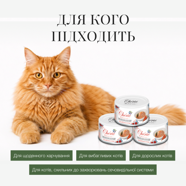 Cherie (Чери) Cat Grain Free Tuna & Carrot Urinary Care Adult - Влажный беззерновой корм для взрослых котов для поддержания мочевыводящей системы с мясом тунца и морковью 80 г Cherie (Чери) Cat Grain Free Tuna & Carrot Urinary Care Adult - Влажный беззерновой корм для взрослых котов для поддержания мочевыводящей системы с мясом тунца и морковью 80 г