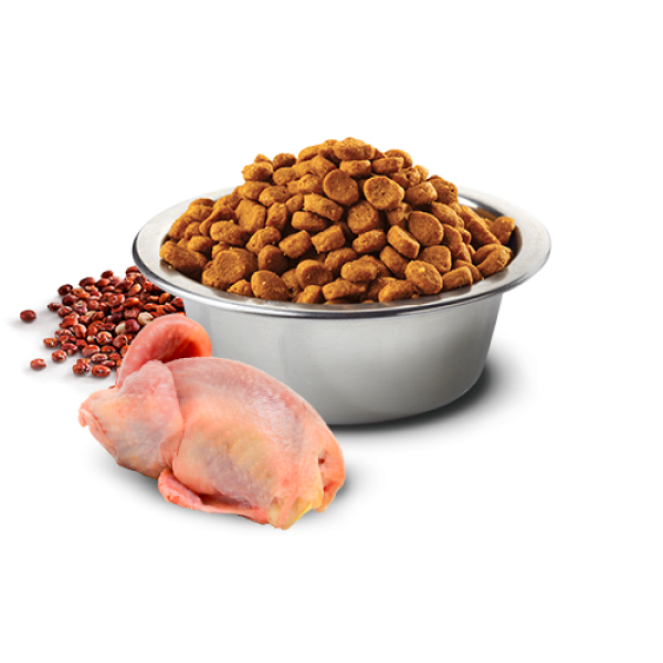 Farmina (Фармина) Dog Grain Free N&D Quinoa Skin & Coat Quail & Coconut Adult All Breeds - Сухой беззерновой корм для собак всех пород с перепелкой 2.5 кг