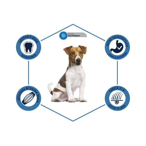 Advance Dog Mini Adult Chicken & Rice - Сухой корм для взрослых собак мелких пород с курицей и рисом 7 кг