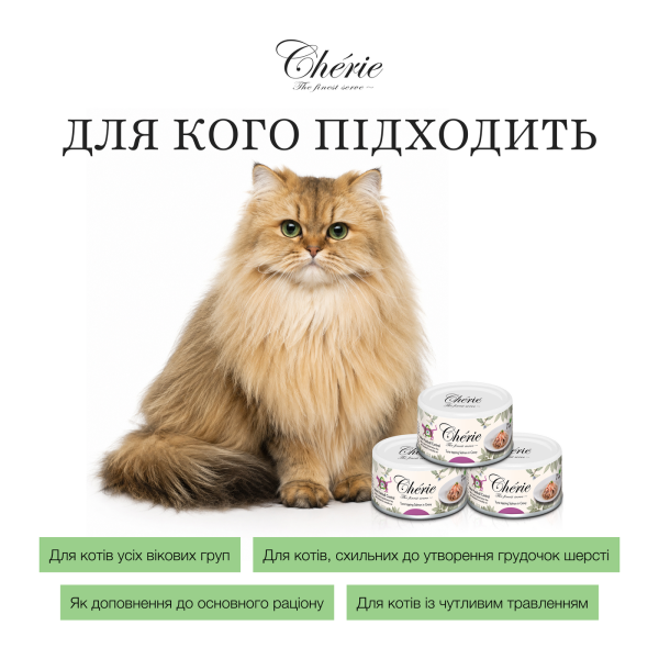 Cherie (Чери) Cat Grain Free Tuna & Salmon Hairball All Life Stages - Влажный беззерновой корм для котов всех возрастов для выведения грудок шерсти кусочки в соусе с мясом тунца и лосося 80 г Cherie (Чери) Cat Grain Free Tuna & Salmon Hairball All Life Stages - Влажный беззерновой корм для котов всех возрастов для выведения грудок шерсти кусочки в соусе с мясом тунца и лосося 80 г