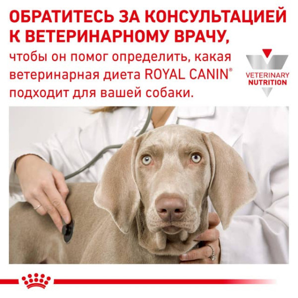 Royal Canin (Роял Канин) Dog Urinary S/O Moderate Calorie Pouches Adult Chicken & Pork - Влажный лечебный корм для взрослых собак склонных к лишнему весу при заболевании мочевыводящих путей с курицей и свининой 100 г