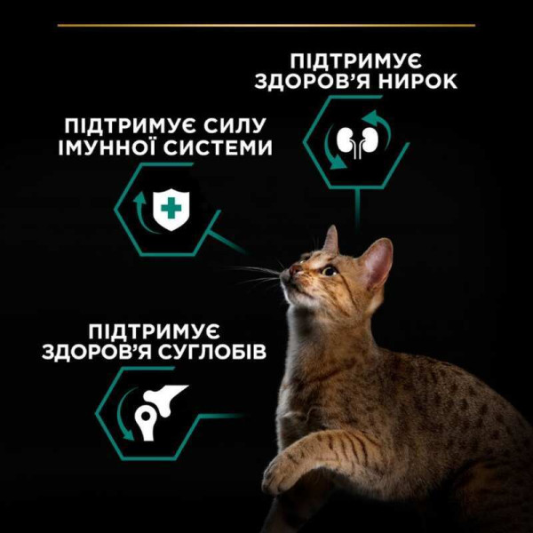 Purina Pro Plan (Пуріна Про План) Original Adult Chiken - Сухий корм для дорослих кішок з куркою 10 кг