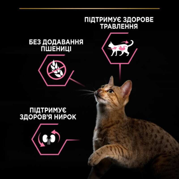 Purina Pro Plan (Пуріна Про План) DeliCate Lamb - Сухий корм для котів з чутливим шлунком з ягням 10 кг