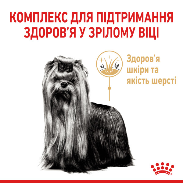 Royal Canin (Роял Канін) Yorkshire Terrier Ageing 8+ - Сухий корм для йоркширських тер`єрів від 8 років 0.5 кг