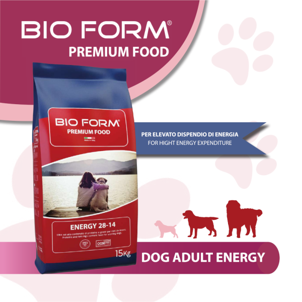 Bio Form (Біо Форм) Premium Food Adult Energy – Сухий корм для активних собак з куркою 15 кг