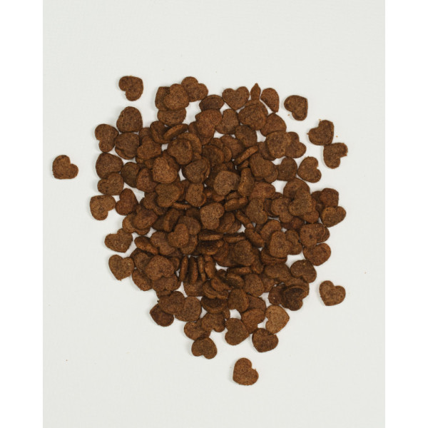 Savory (Сейвори) With Salmon and Raspberries - Хрустящее лакомство для здоровья кожи и шерсти, лосось с малиной 50 г