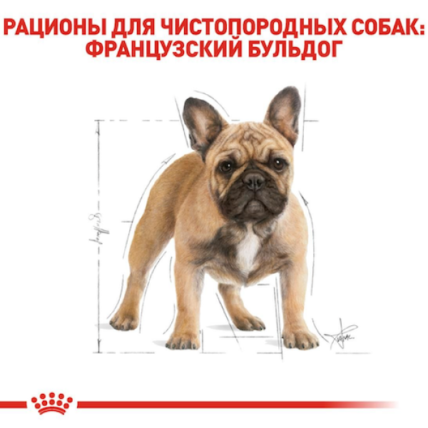 Royal Canin (Роял Канін) French Bulldog Adult - Сухий корм для французьких бульдогів від 12 міс. 9 кг